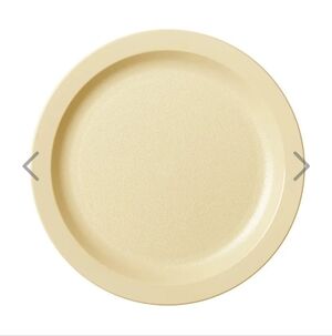 20 Canbro 10 1/4" Round Melamine Dinner Plates Tan